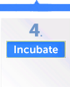 Incubate